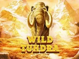 Wild Tundra DNT