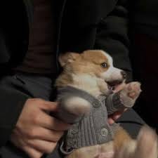 ชนาธิป สรงกระสินธ์ avatar